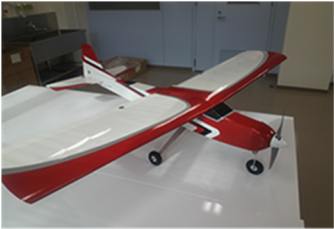 模型飛行機（カルマートTR40）